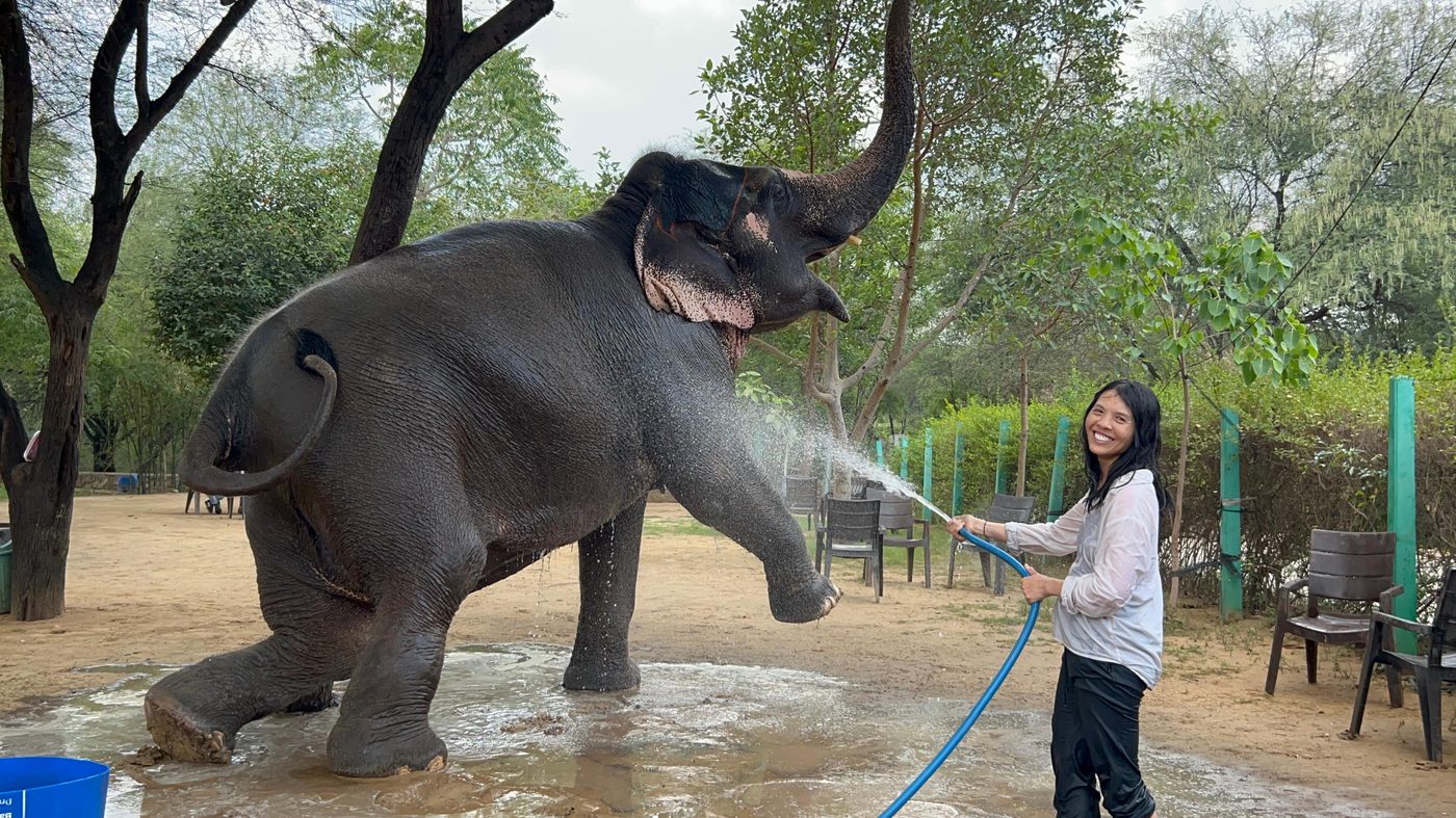 With a guest at an elephant sanctuary